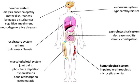 IJERPH | Free Full-Text | Innovative In Vitro Strategy for Assessing ...