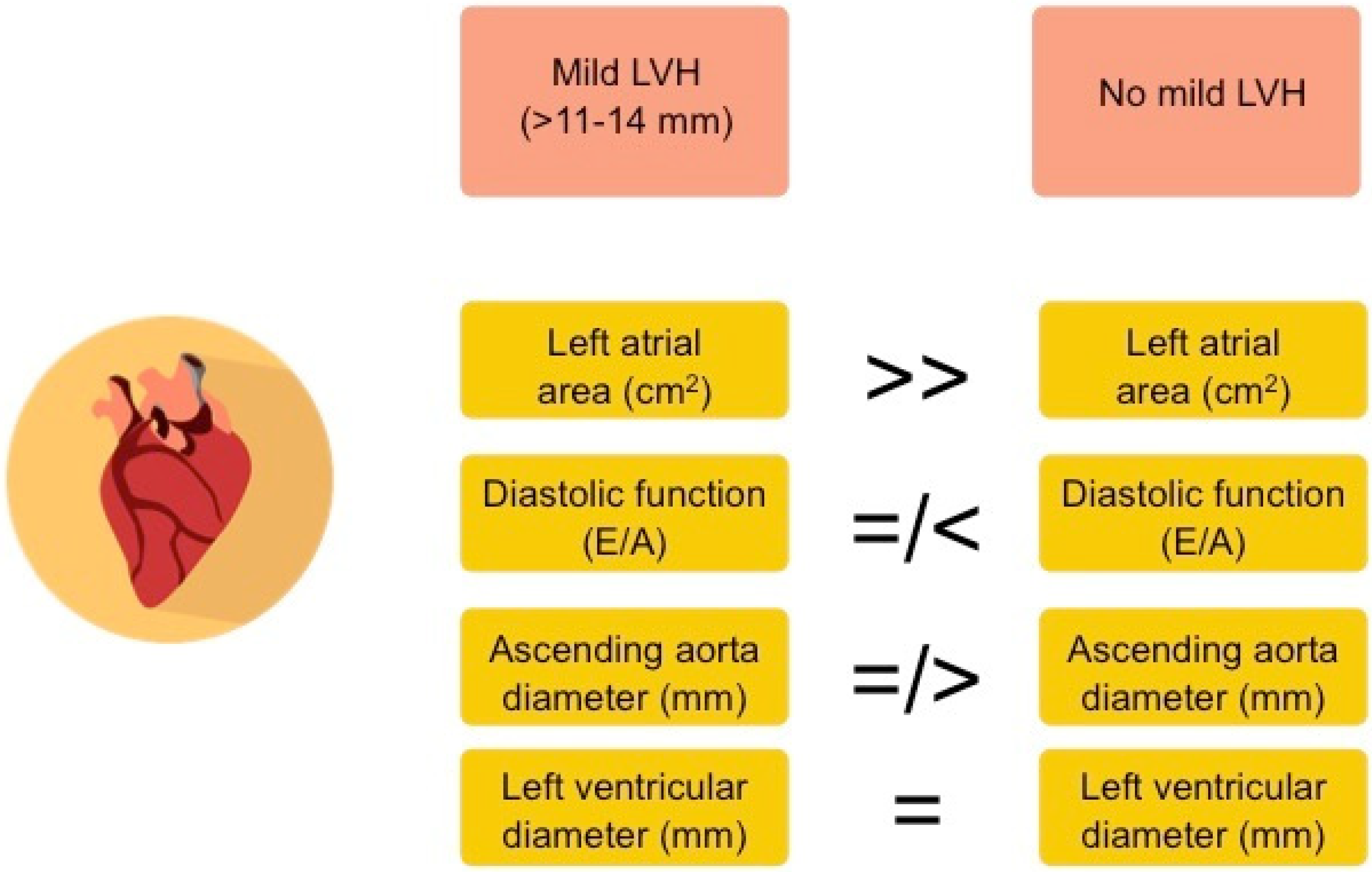 Left Ventricular Hypertrophy (LVH): Causes, Symptoms and Treatment