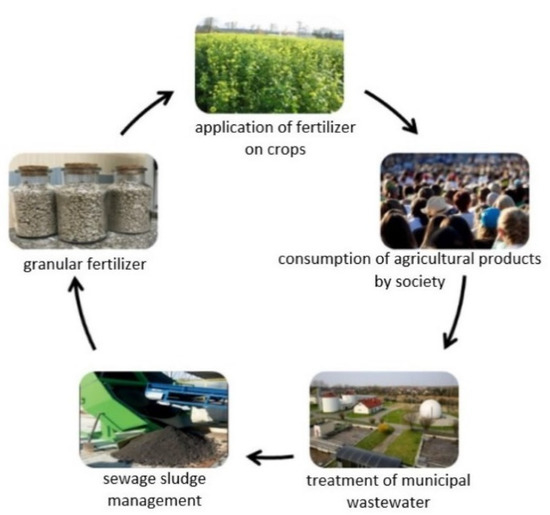 ijerph-free-full-text-from-sewage-sludge-to-the-soil-transfer-of