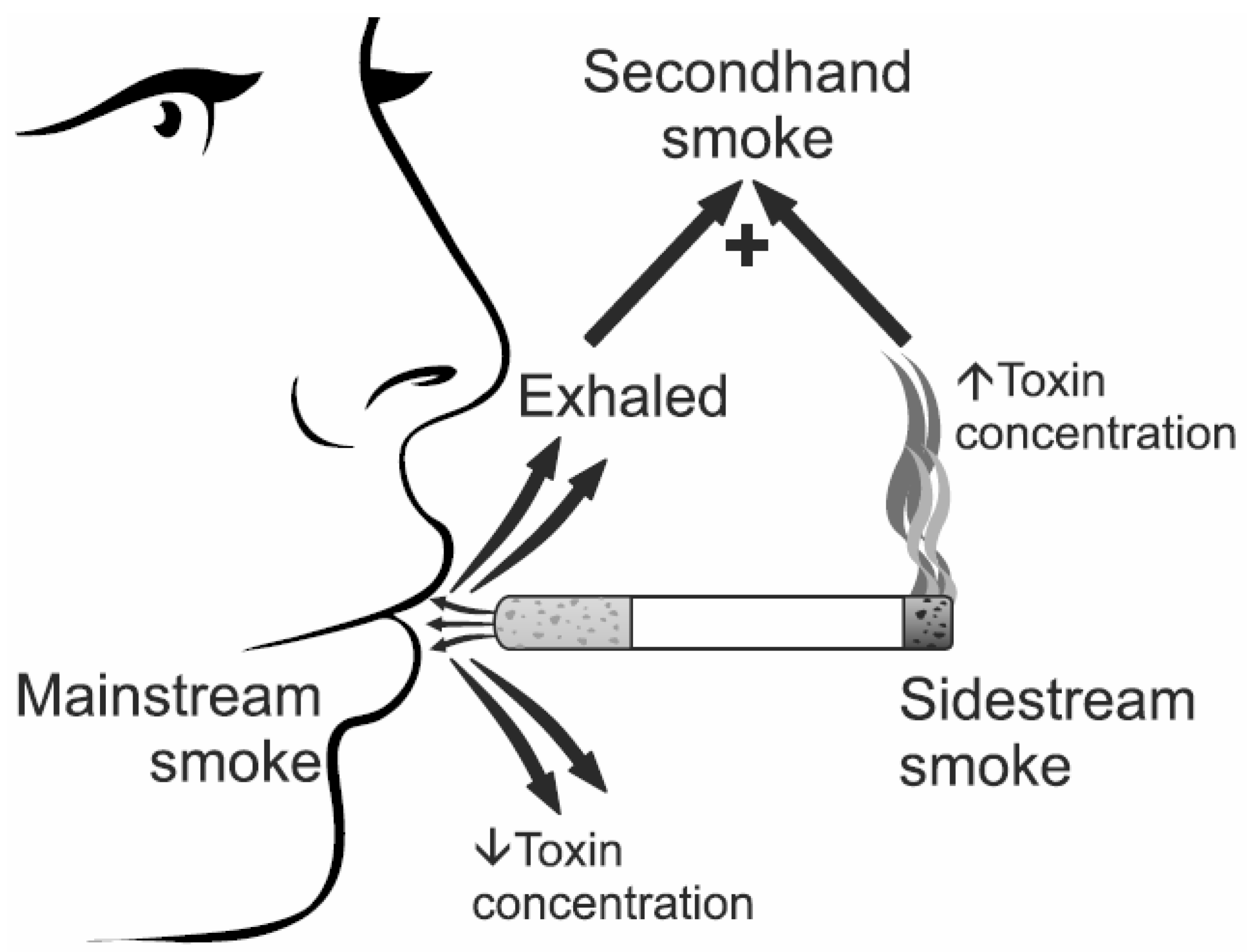 second hand smoke research paper