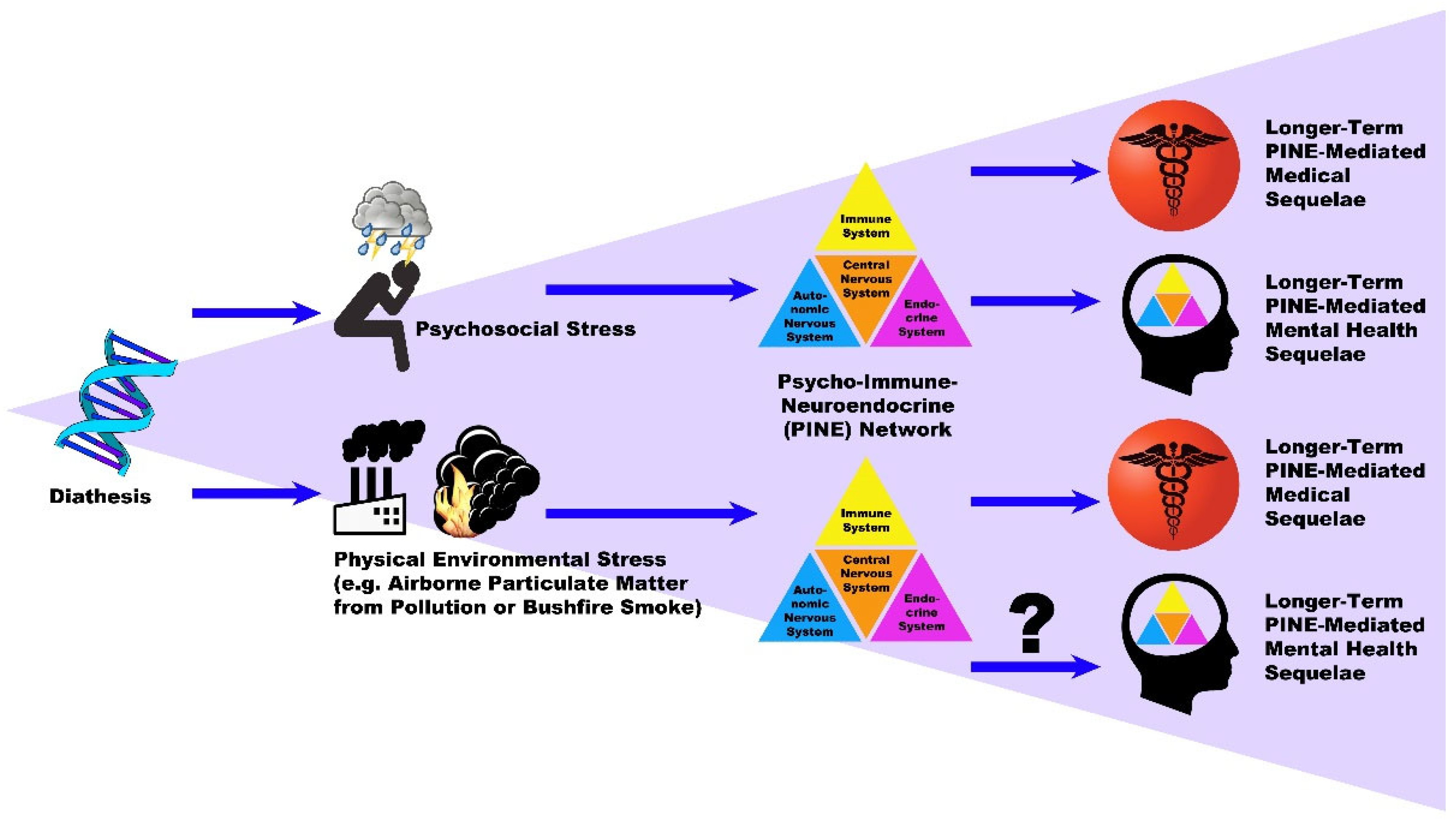 IJERPH Free Full Text Environmental Stressors And The PINE Network 