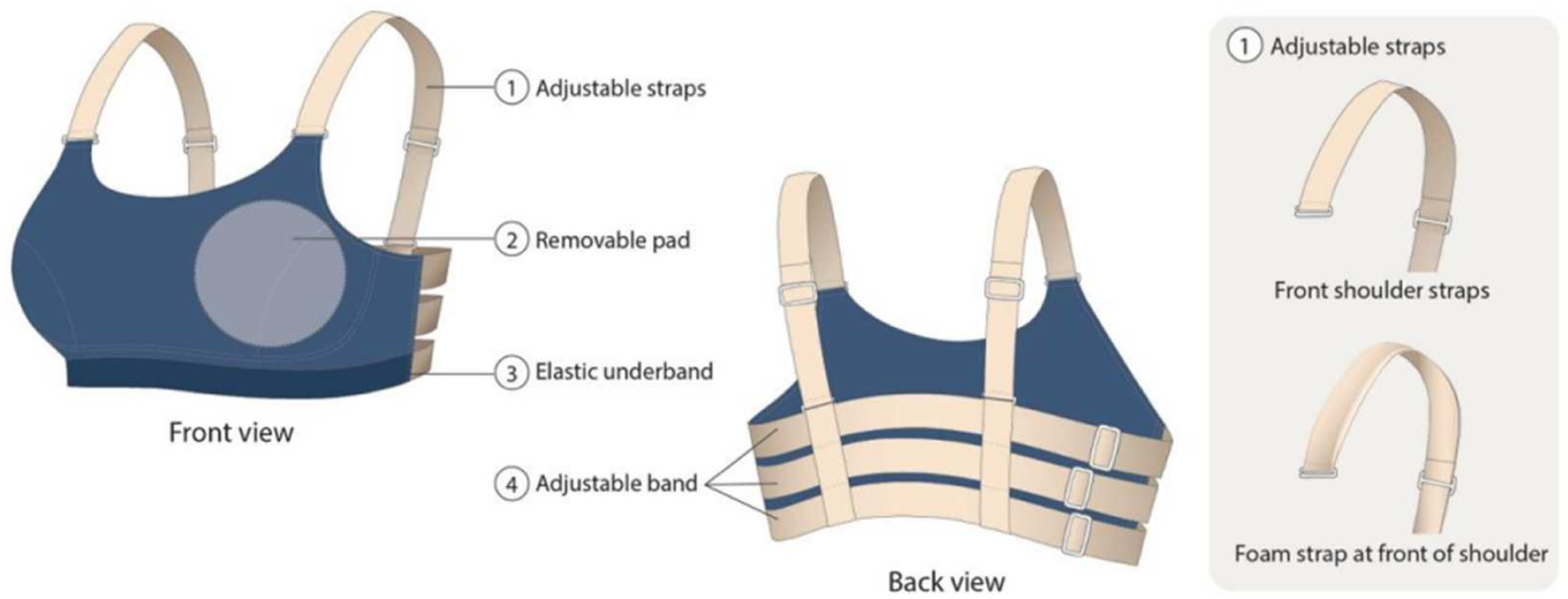 Bare Essentials: Bras - Third Edition and Course Update 