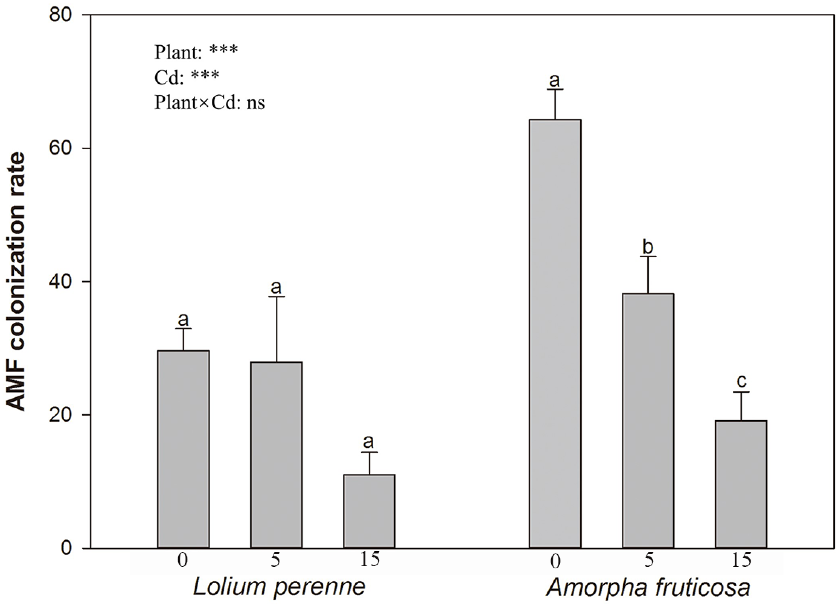 IJERPH Free Full-Text Effect of Arbuscular Mycorrhiza Fungus Diversispora eburnea Inoculation on Lolium perenne and Amorpha fruticosa Growth, Cadmium Uptake, and Soil Cadmium Speciation in Cadmium-Contaminated Soil image pic