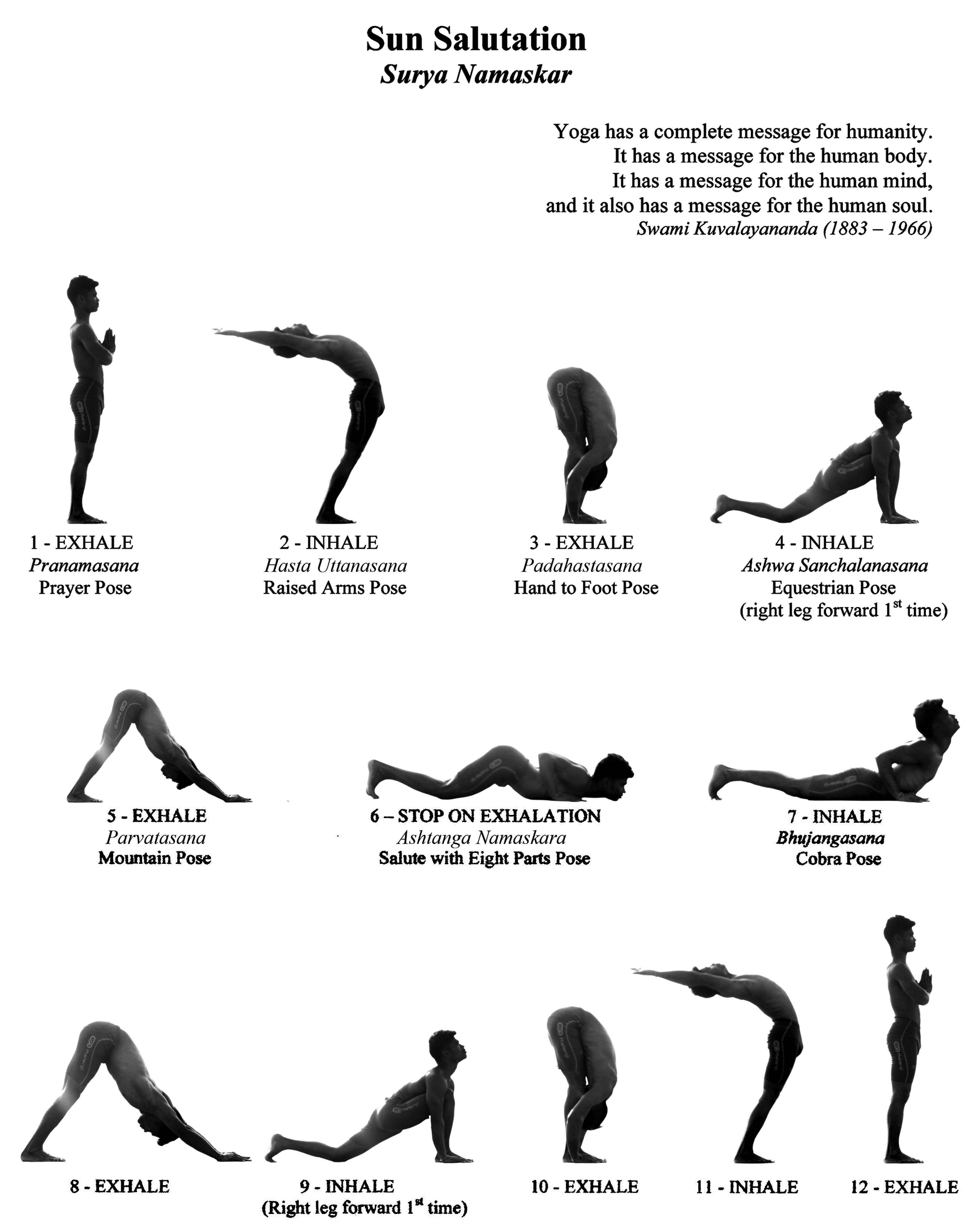 9 Benefits of Surya Namaskar (Sun Salutations) Yoga Poses