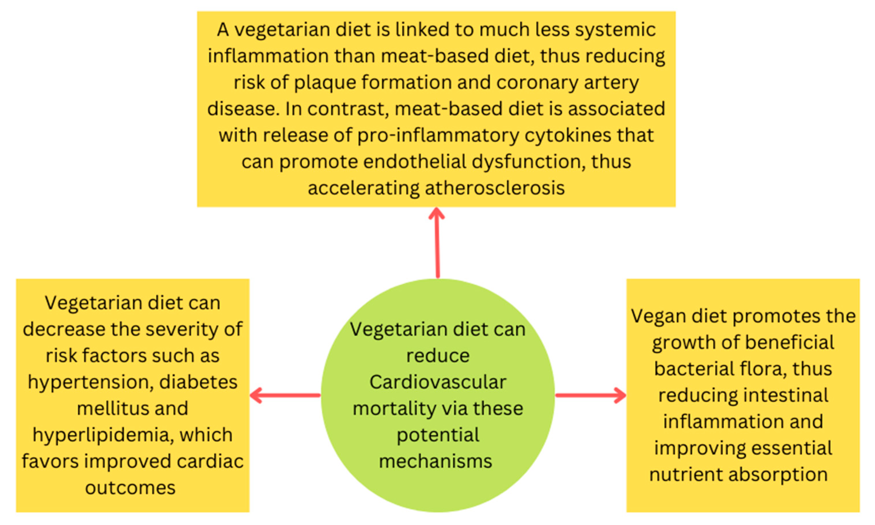 I. Introduction to Veganism and Cardiovascular Disease