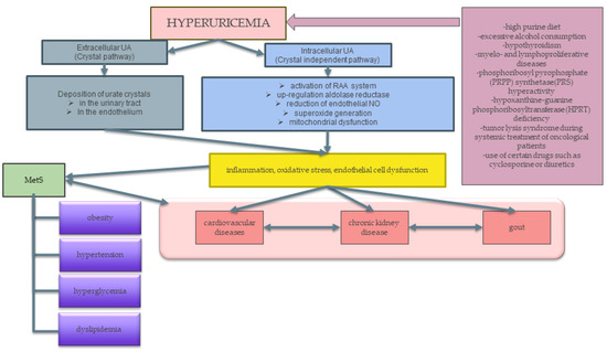 IJERPH | Free Full-Text | High-Fructose Diet–Induced Hyperuricemia ...