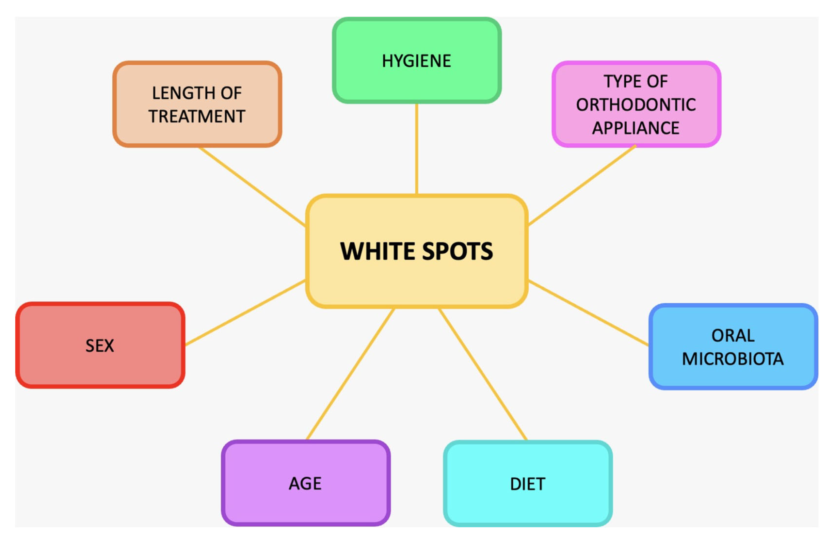 Orthodontic Fractional CMO Services