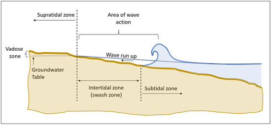 IJERPH | Free Full-Text | Strategies for Monitoring Microbial Life in ...