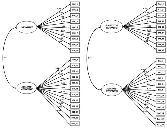 IJERPH | Free Full-Text | Psychometric Properties and Cross