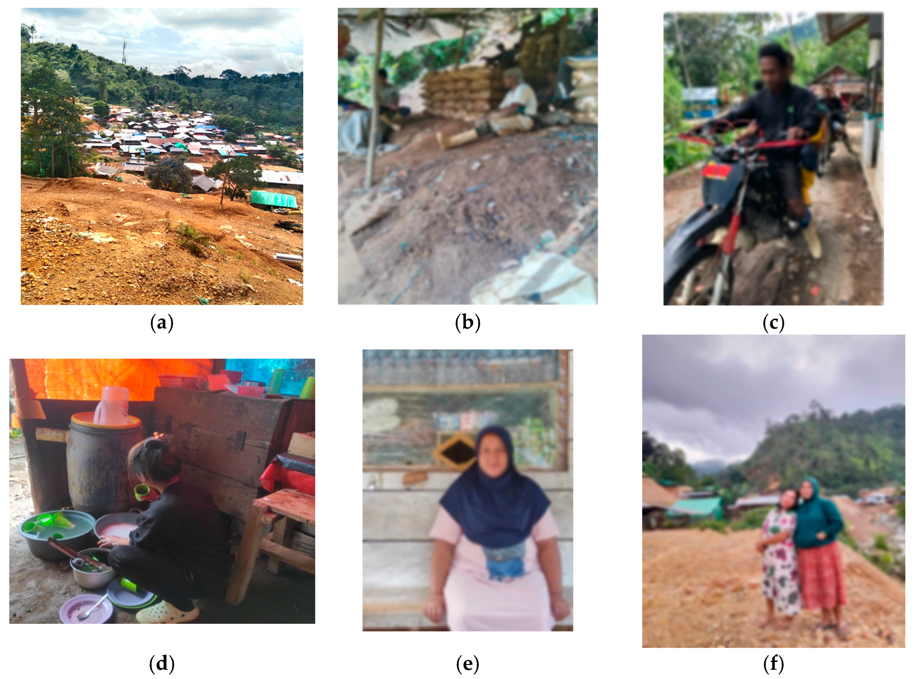 IJERPH Free Full-Text Rural Knowledge Transformation in Terms of Mercury Used in Artisanal Small-Scale Gold Mining (ASGM)andmdash;A Case Study in Gorontalo, Indonesia picture