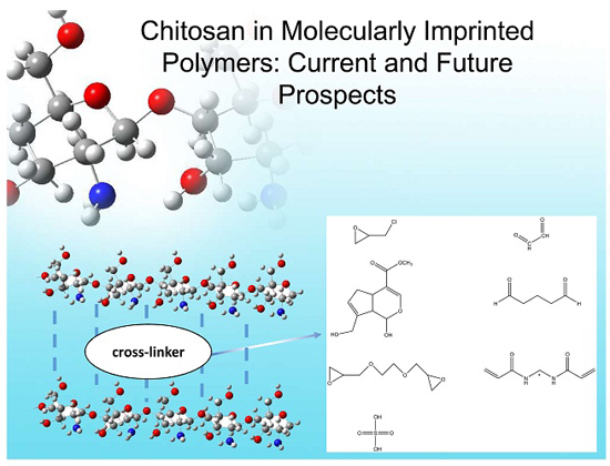 IJMS | Free Full-Text | Chitosan in Molecularly-Imprinted Polymers ...