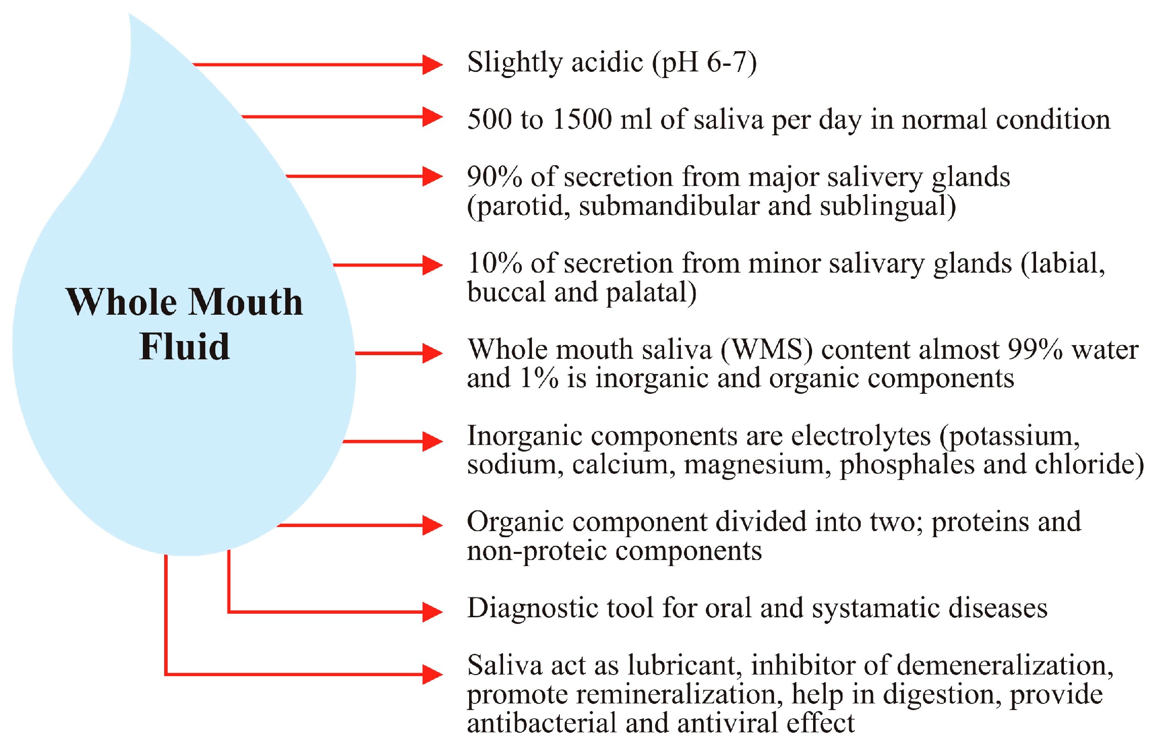 Cool Jobs: Saliva offers a spitting image of our health