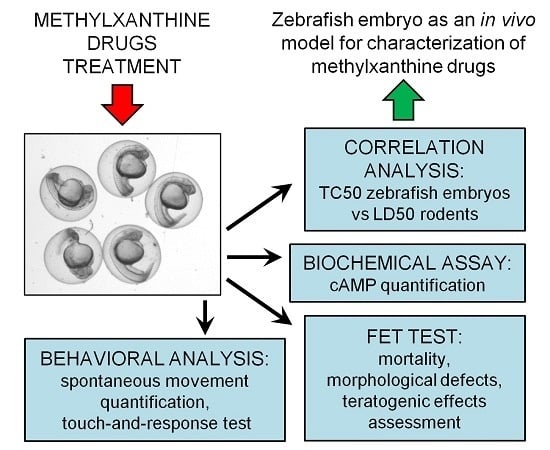 IJMS | Free Full-Text | Zebrafish Embryo as an In Vivo Model for Behavioral  and Pharmacological Characterization of Methylxanthine Drugs