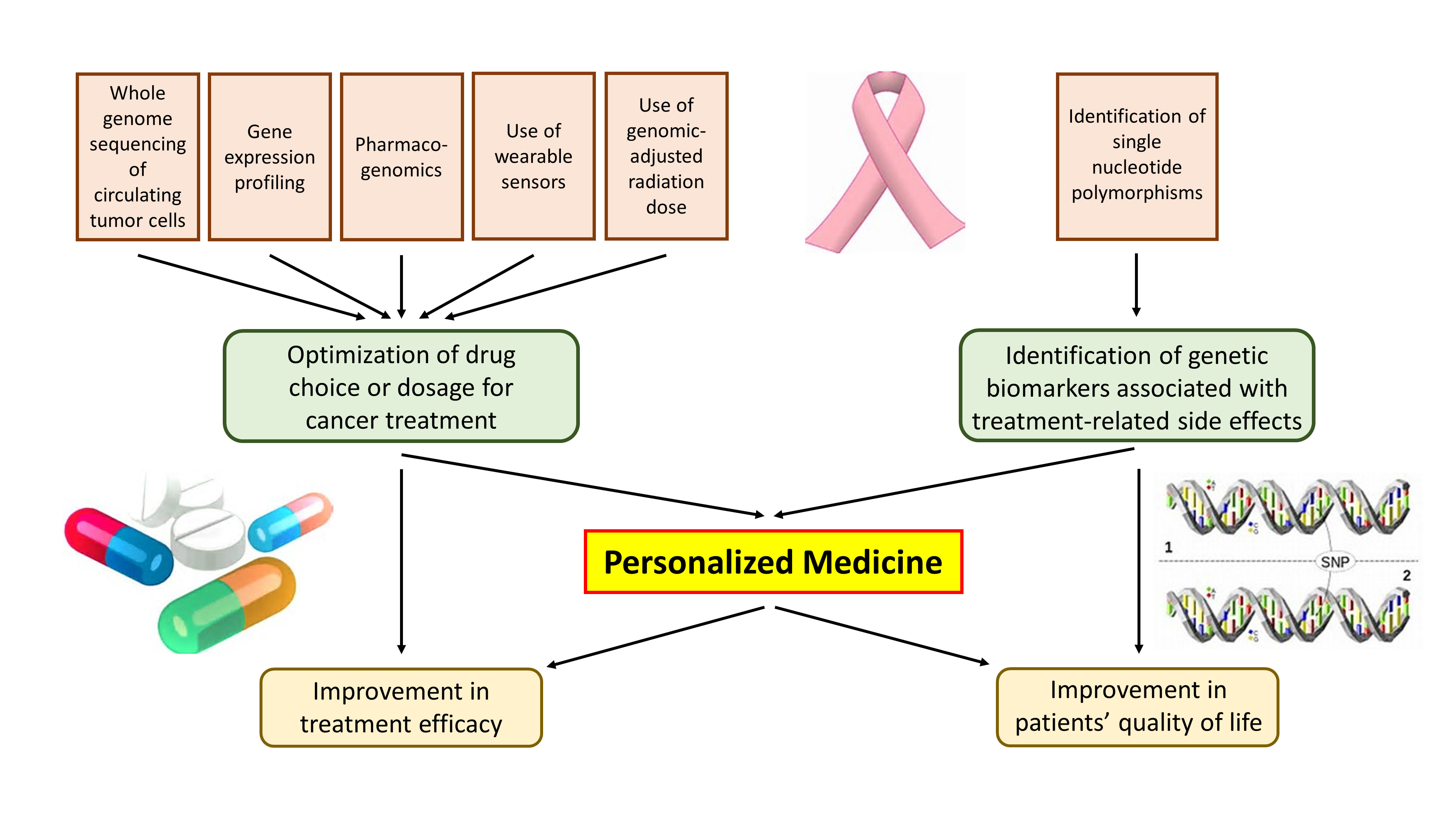 Ijms Free Full Text Novel Strategies On Personalized Medicine For