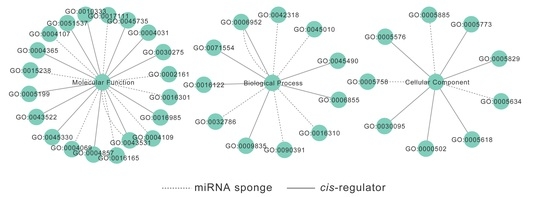 IJMS | Free Full-Text | Transcriptome-Wide Identification and Characterization of Potato Circular RNAs in Response to carotovorum Subspecies brasiliense Infection
