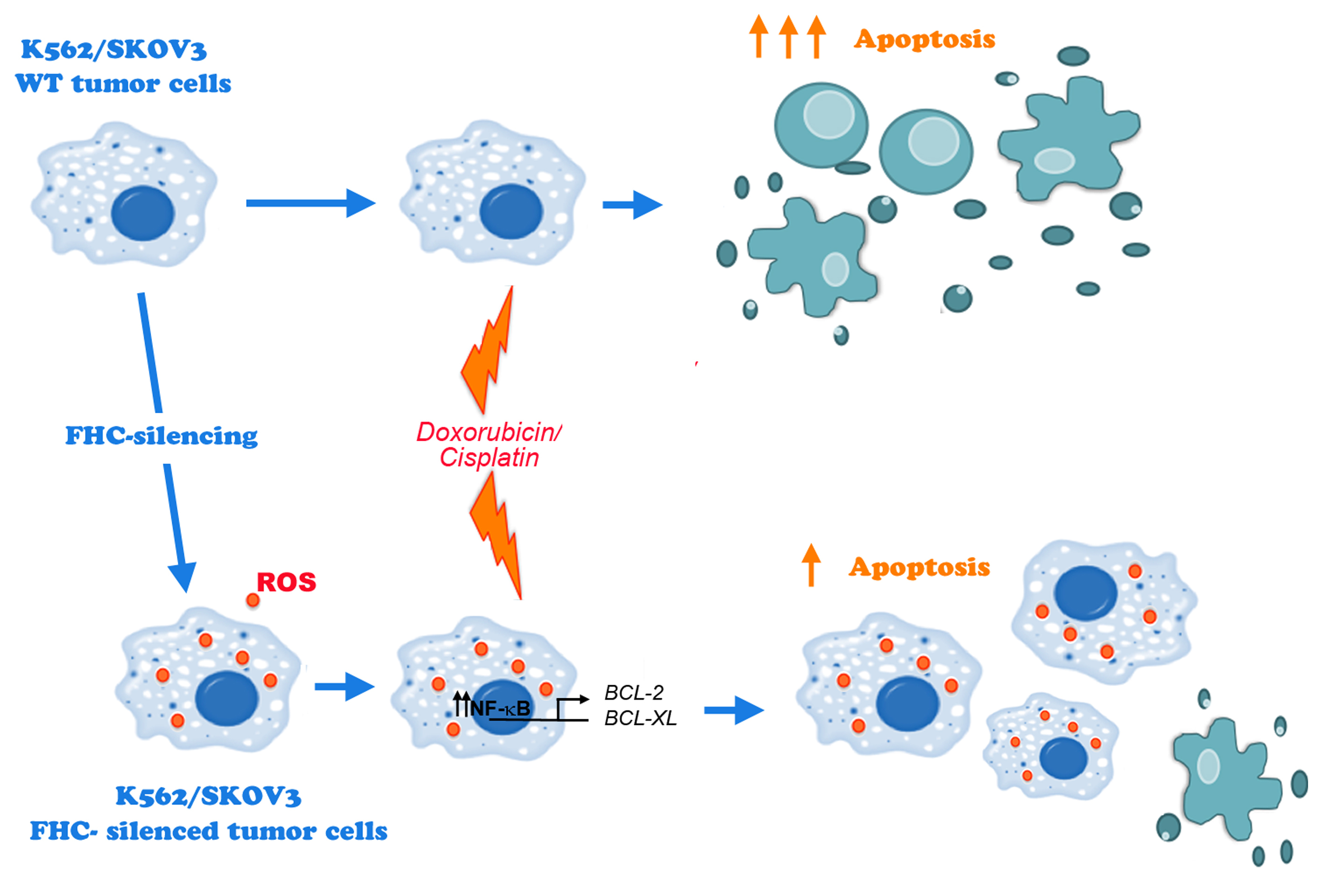 https://pub.mdpi-res.com/ijms/ijms-19-02969/article_deploy/html/images/ijms-19-02969-ag.png?1570526022