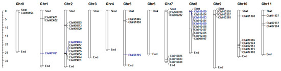 IJMS | Free Full-Text | Genome-Wide Characterization of NBS-Encoding ...