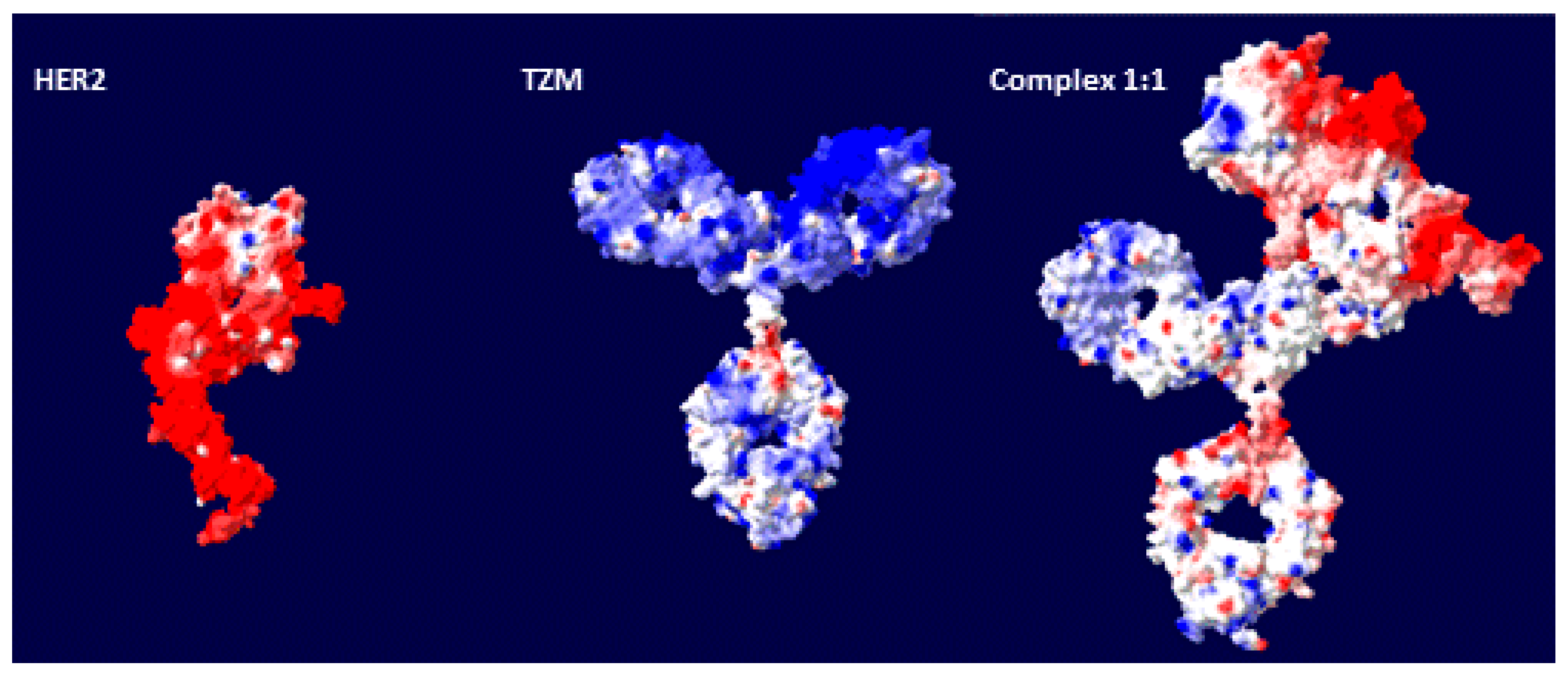 IJMS | Free Full-Text | Hydrodynamic And Electrophoretic Properties Of ...