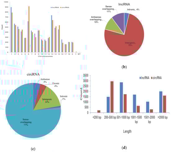 Comprehensive Analysis of Differentially Expressed mRNA