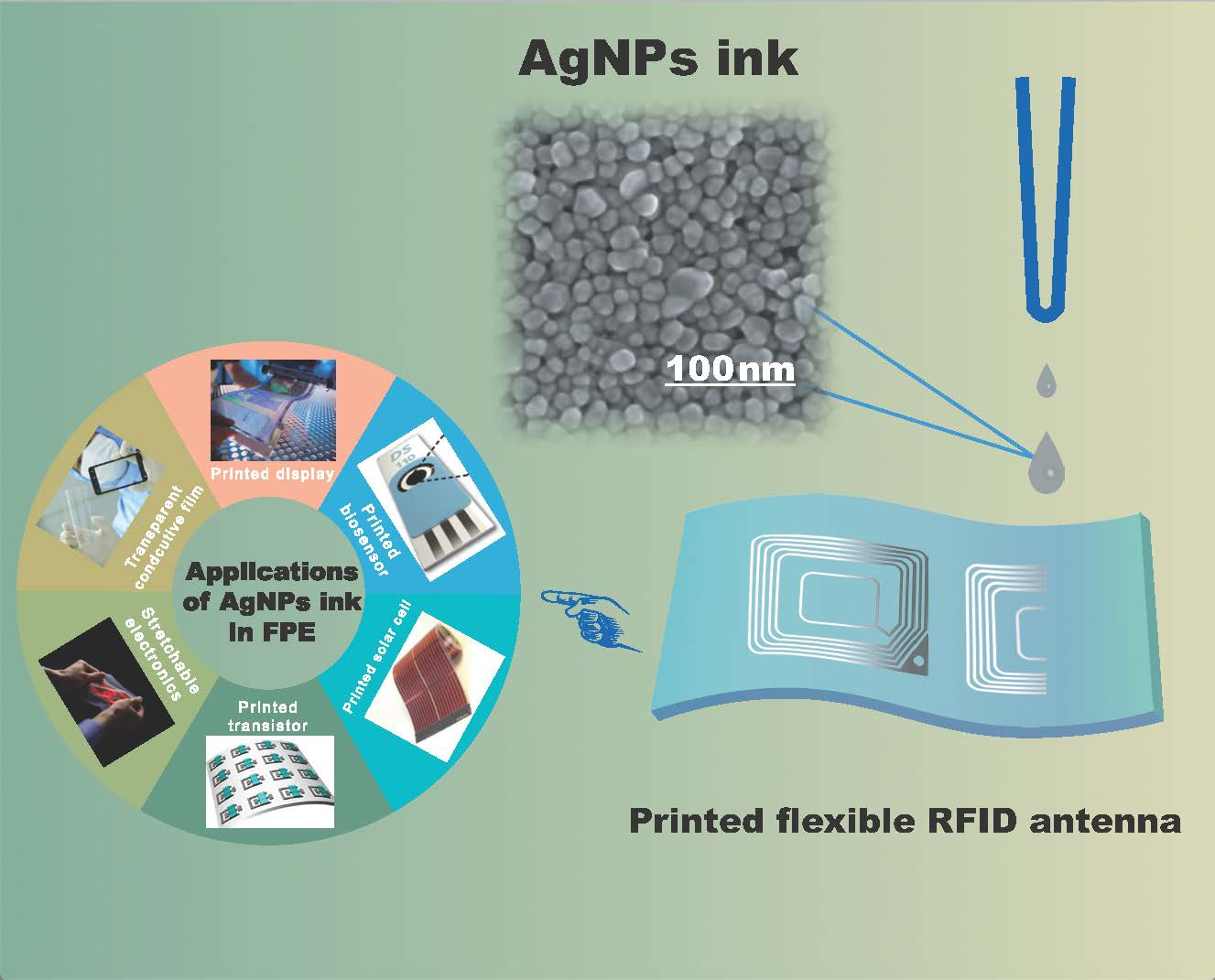 IJMS | Free Full-Text | Silver Nanoparticles Based Ink with Moderate ...