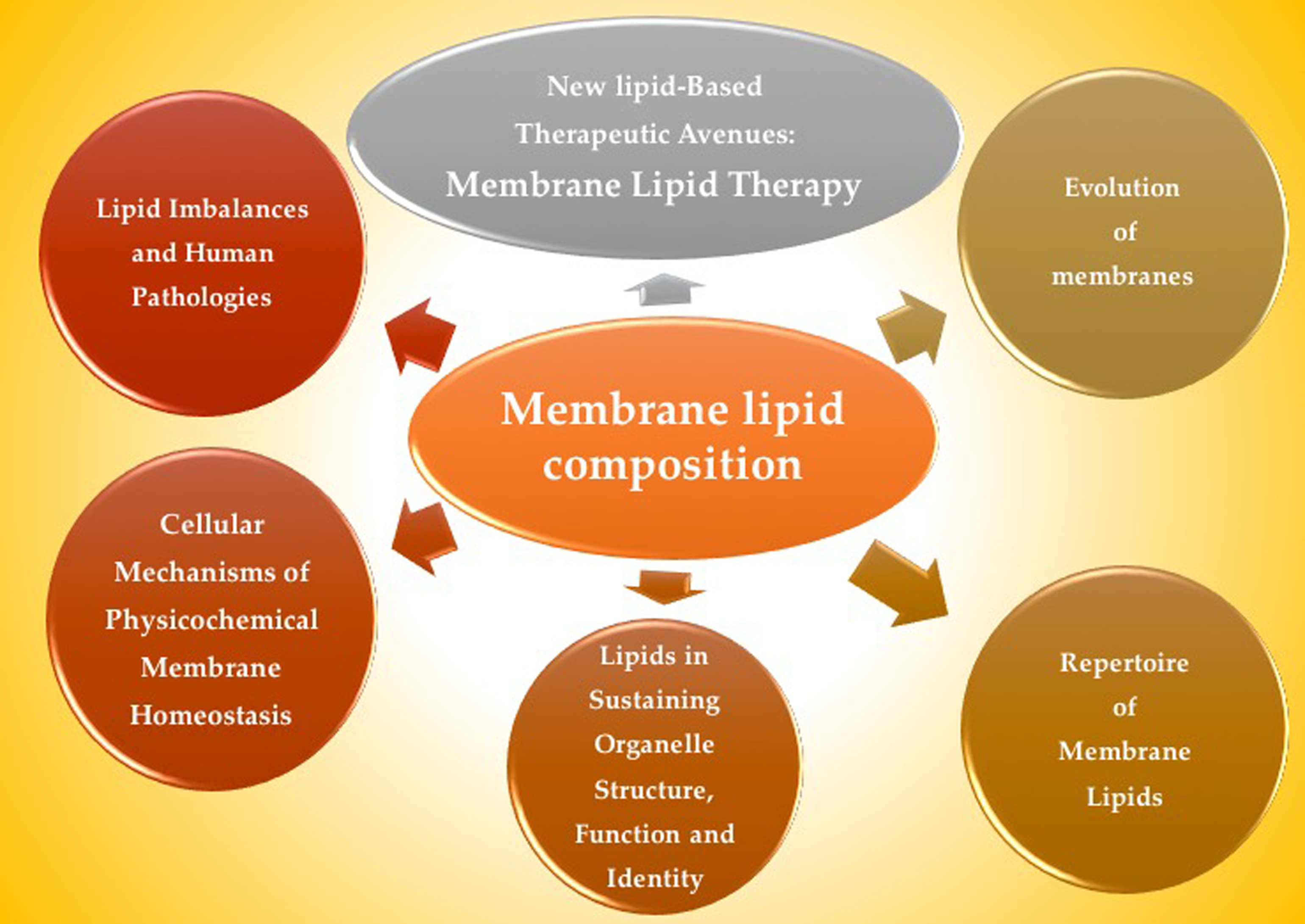Membrane Lipid Composition
