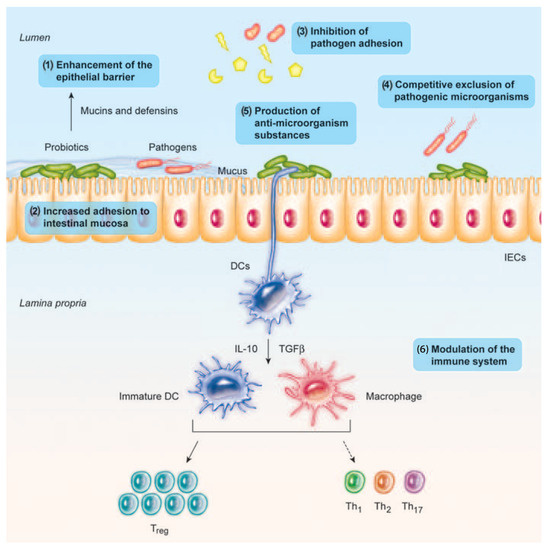 IJMS Free FullText Health Benefits of HeatKilled (Tyndallized) Probiotics An Overview