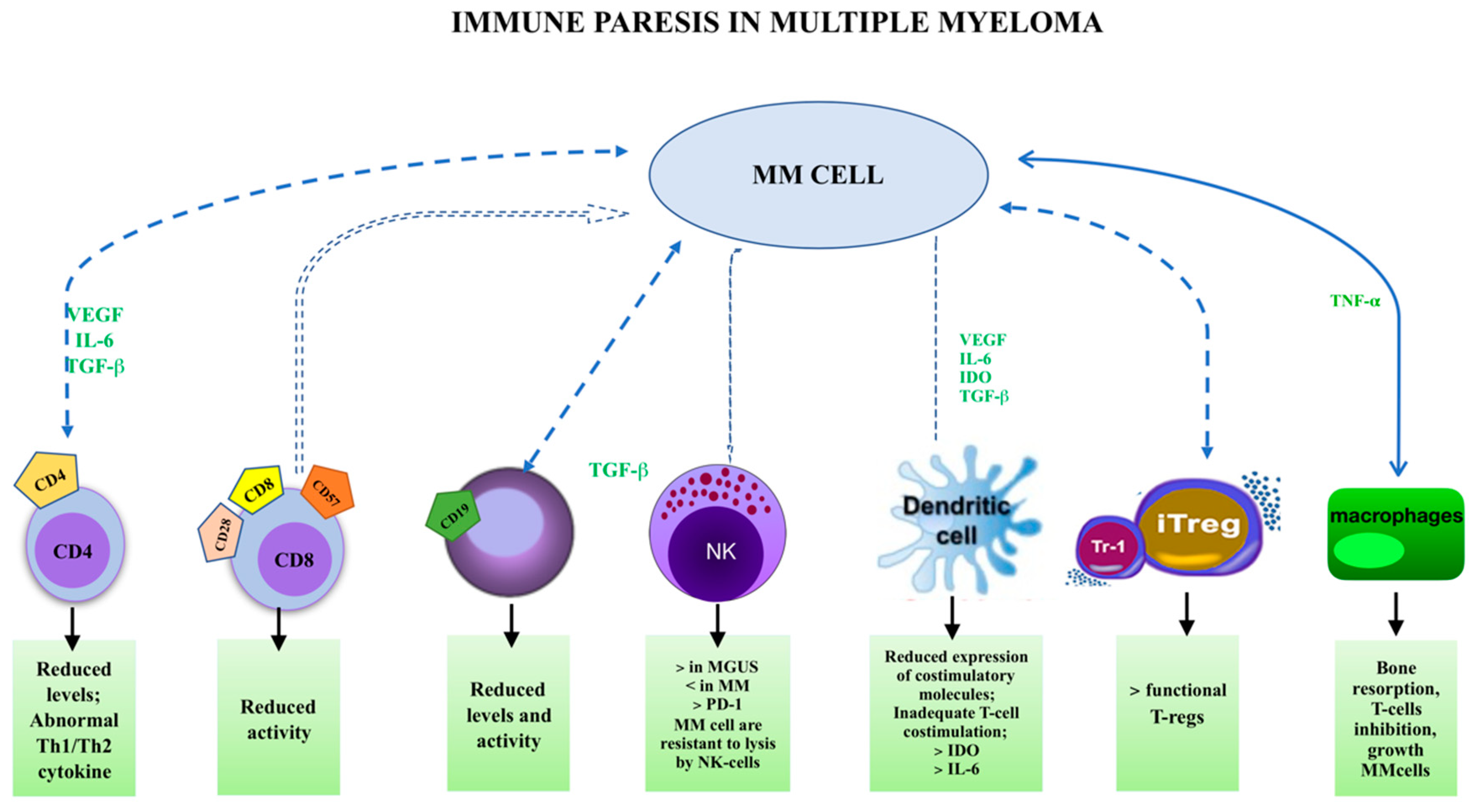 IJMS | Free Full-Text | Lymphocyte Subsets and Inflammatory Cytokines of Monoclonal of Undetermined and Multiple Myeloma