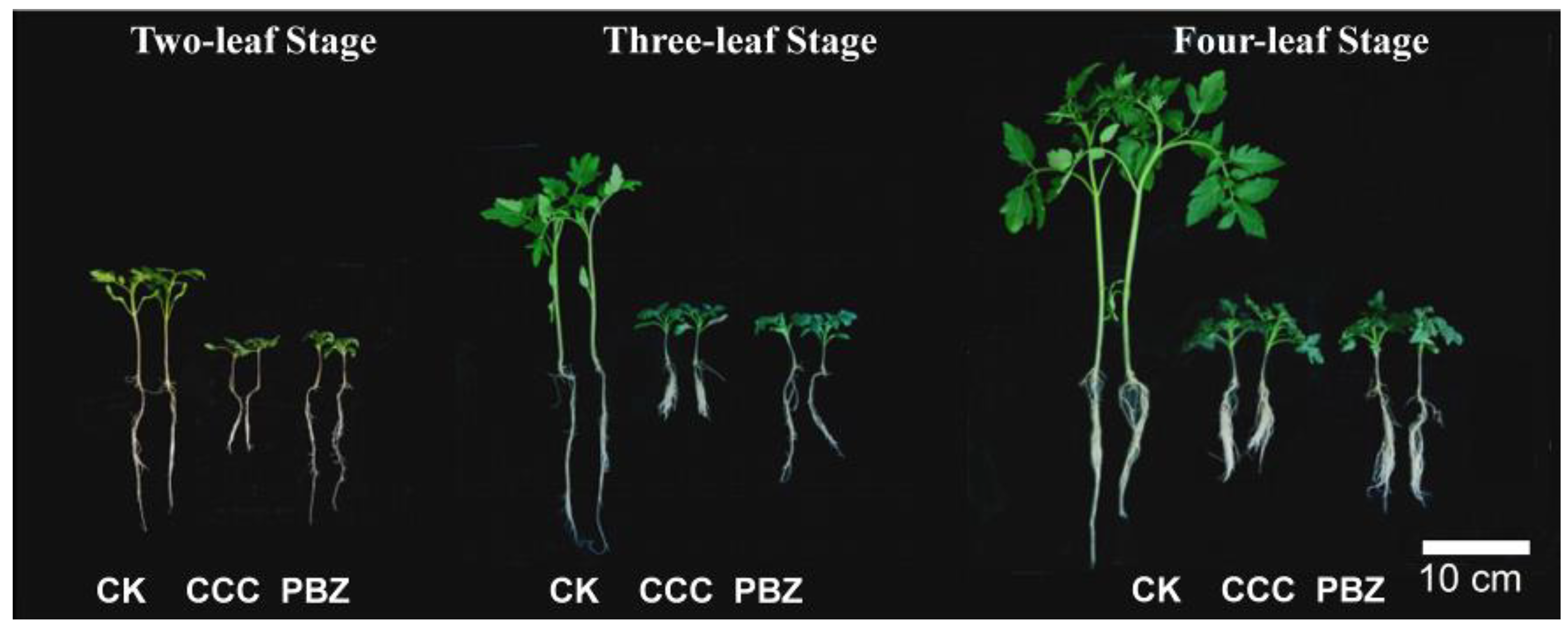 IJMS Free FullText Comprehensive Transcriptome Reveals an Opposite