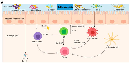 IJMS | Free Full-Text | Conceptual Development Of Immunotherapeutic ...