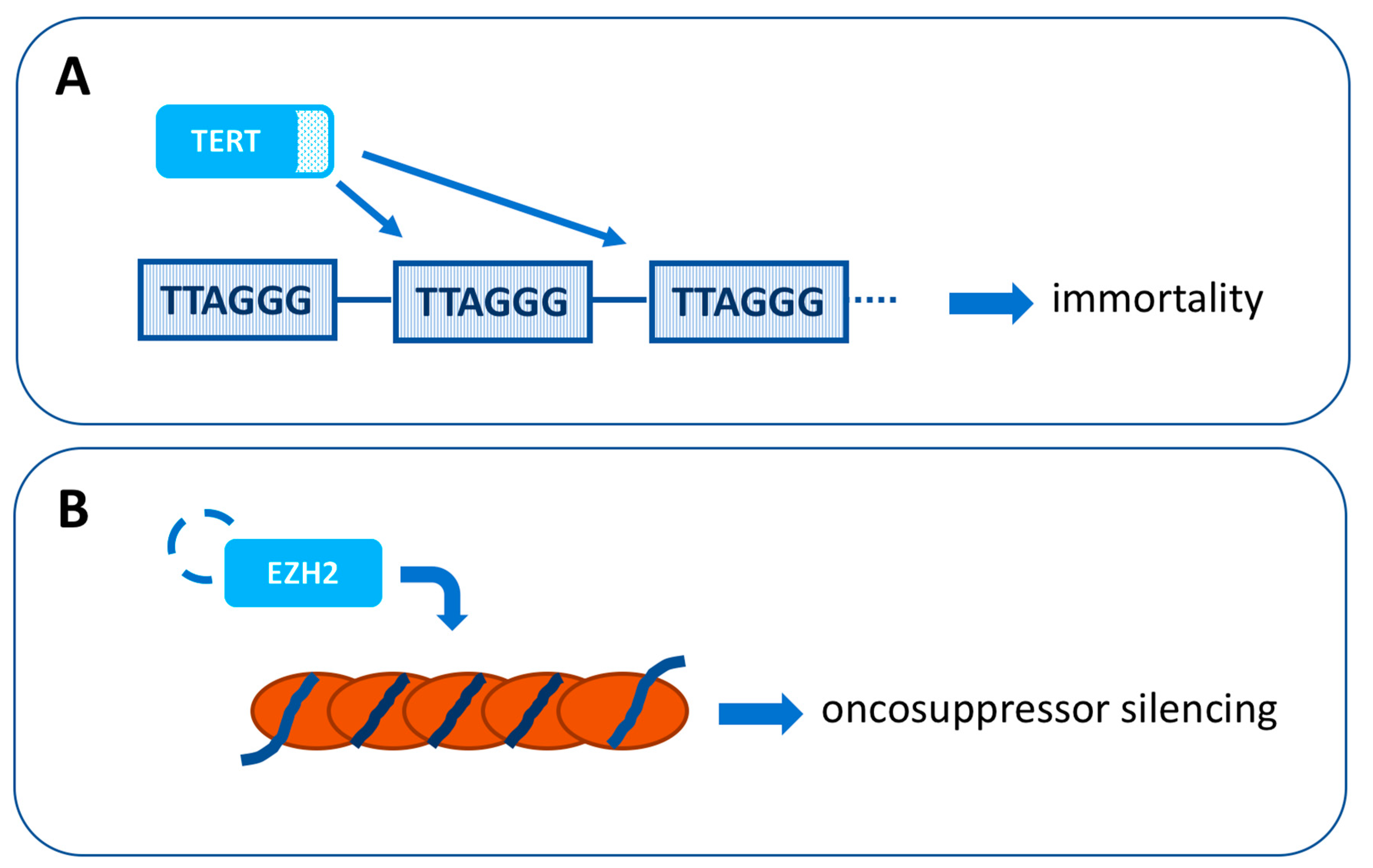 IJMS | Free Full-Text | Conjunctival Melanoma: Genetic And Epigenetic ...