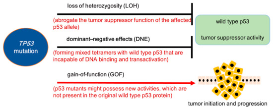 Targeting the Oncogenic p53 Mutants in Colorectal Cancer and Other ...