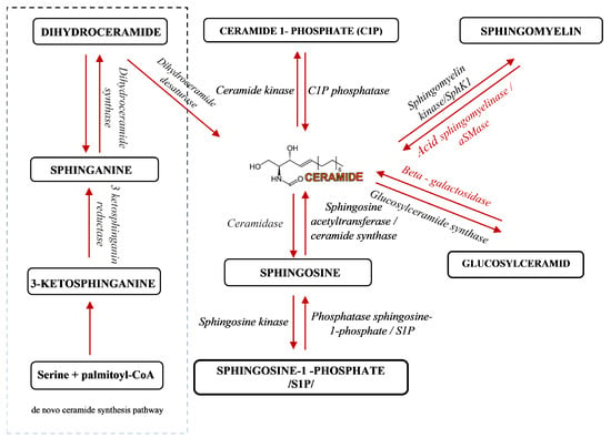 IJMS | Free Full-Text | Decreased Activity Of Blood Acid ...