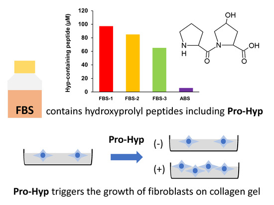 IJMS | Free Full-Text | Food-Derived Collagen Peptides, Prolyl