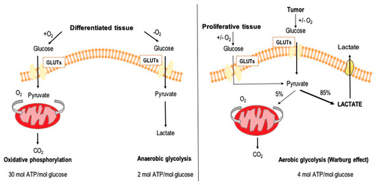 イラスト Deoxy.Hb' Specific absorption of oxy- and deoxy-hemoglobin as a