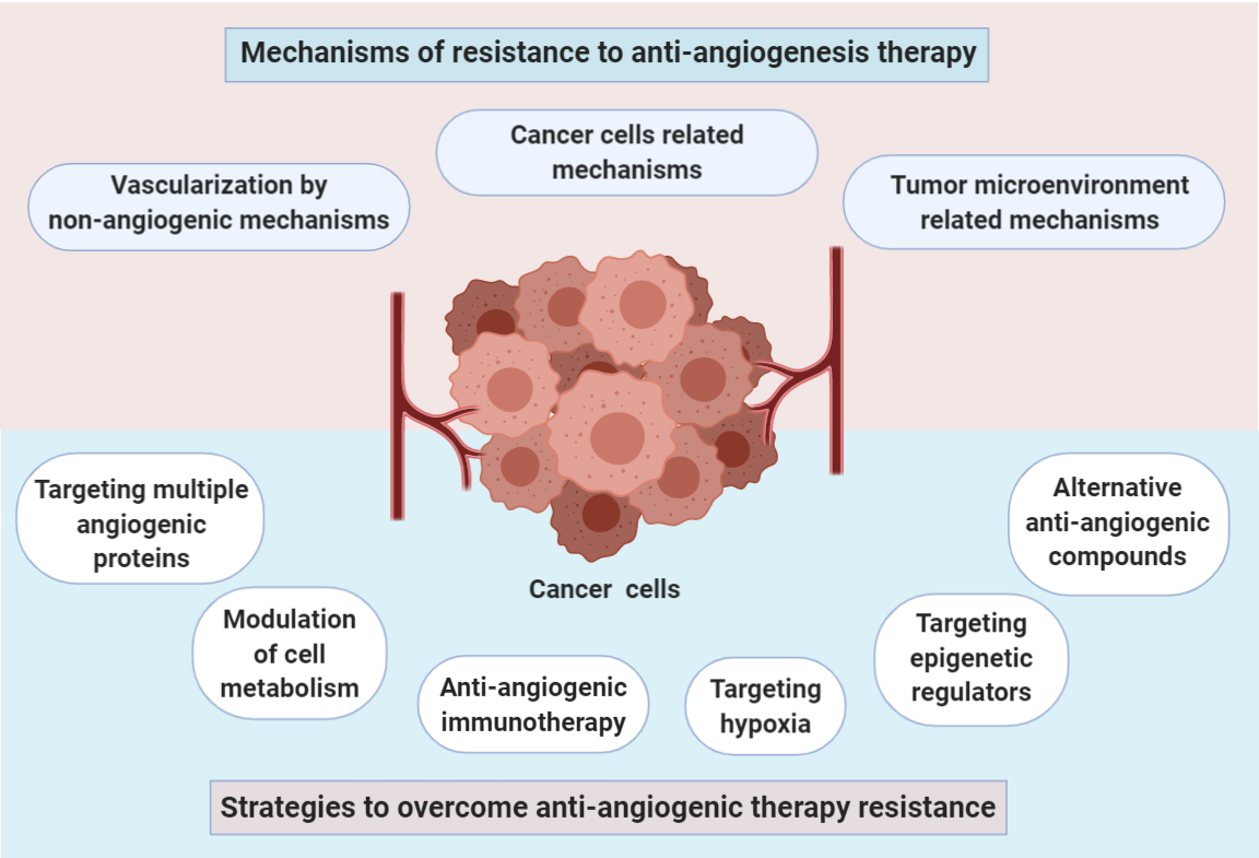 Anti-angiogenesis therapies for angiogenic diseases