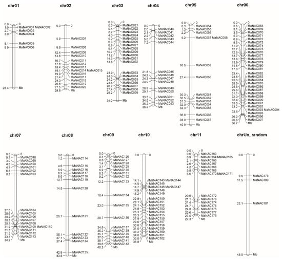 IJMS | Free Full-Text | Genome-Wide Identification and Characterization ...