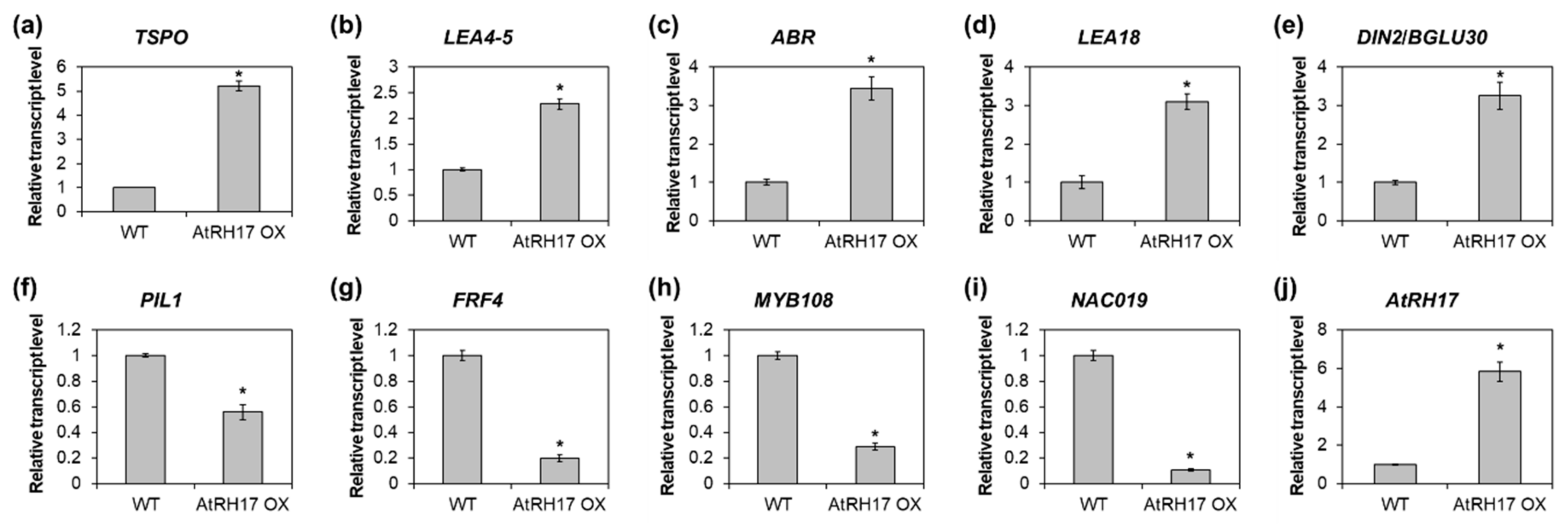 IJMS | Free Full-Text | Investigation Of A Novel Salt Stress-Responsive ...