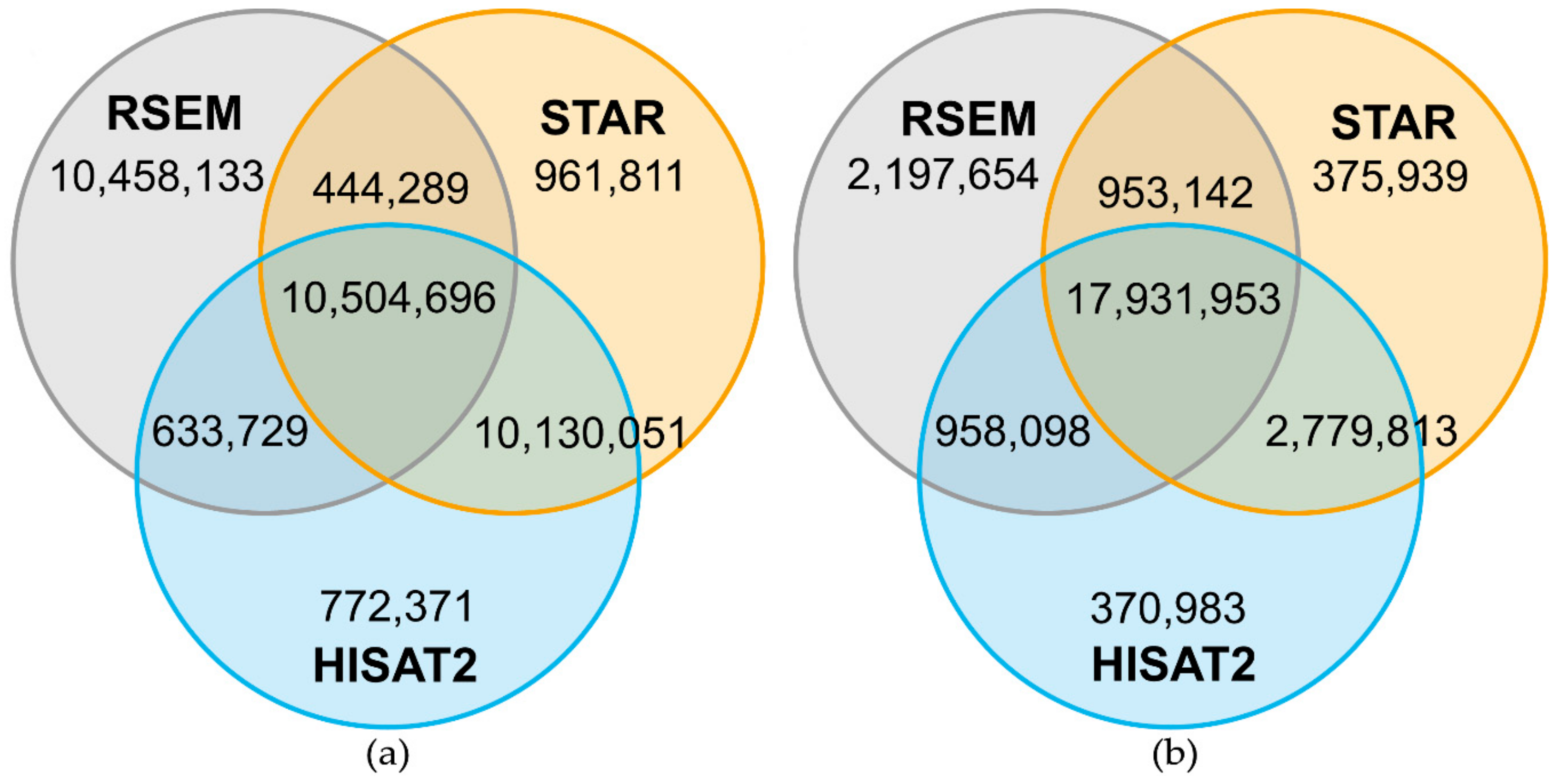 IJMS | Free Full-Text | Evaluation of Seven Different RNA-Seq 