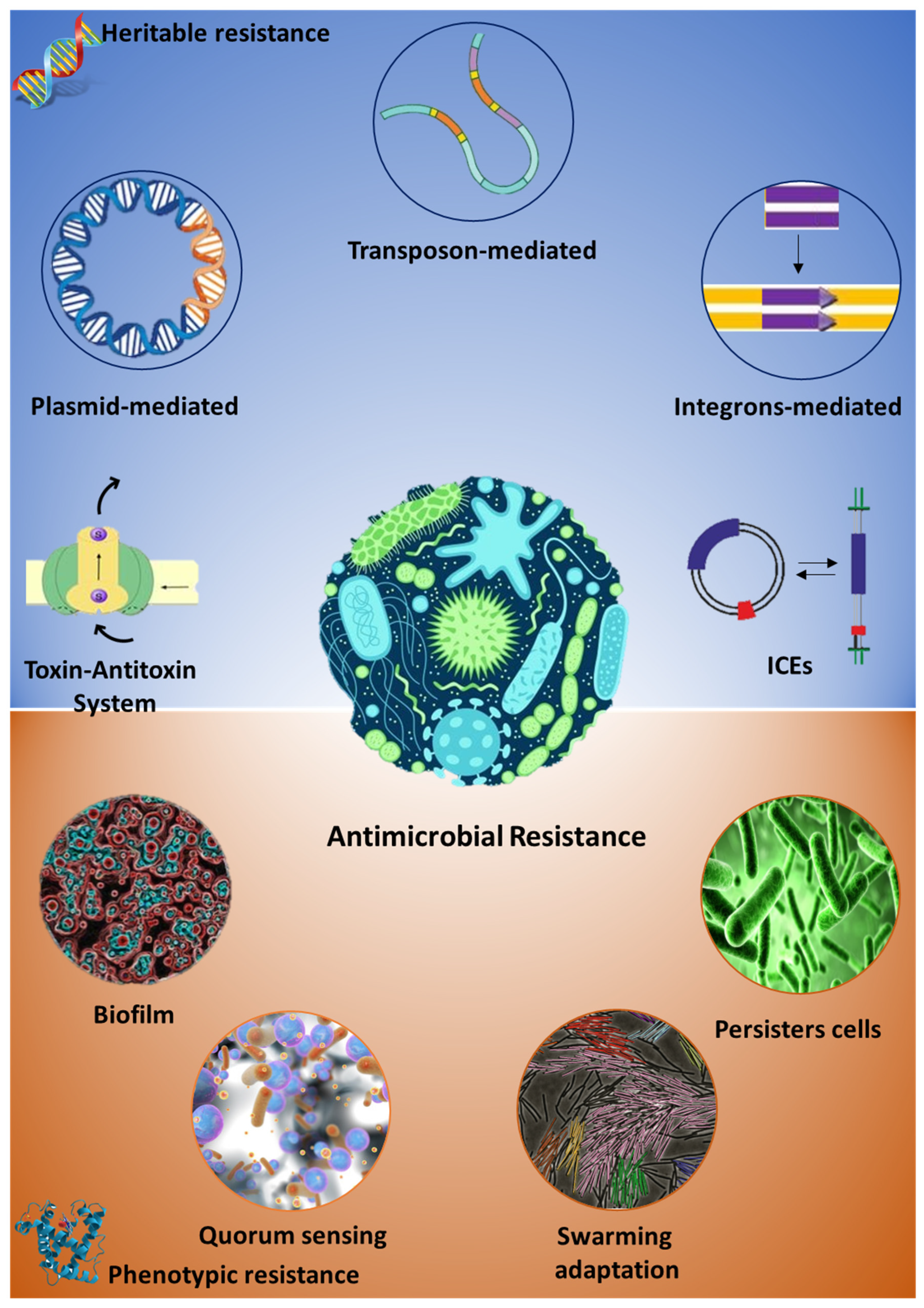 Adaptive antimicrobial materials