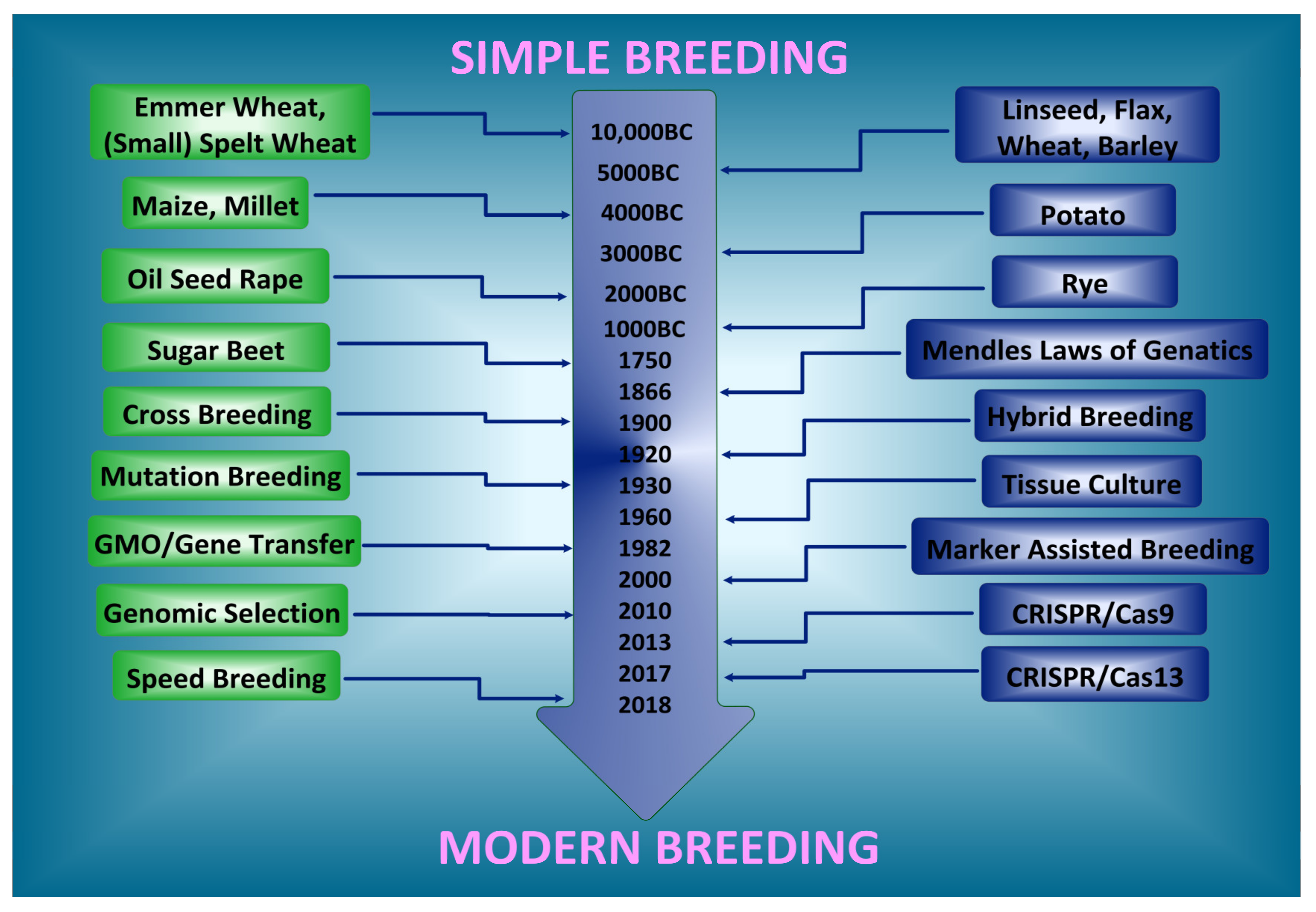 IJMS | Free Full-Text | Conventional and Molecular Techniques from Simple  Breeding to Speed Breeding in Crop Plants: Recent Advances and Future  Outlook