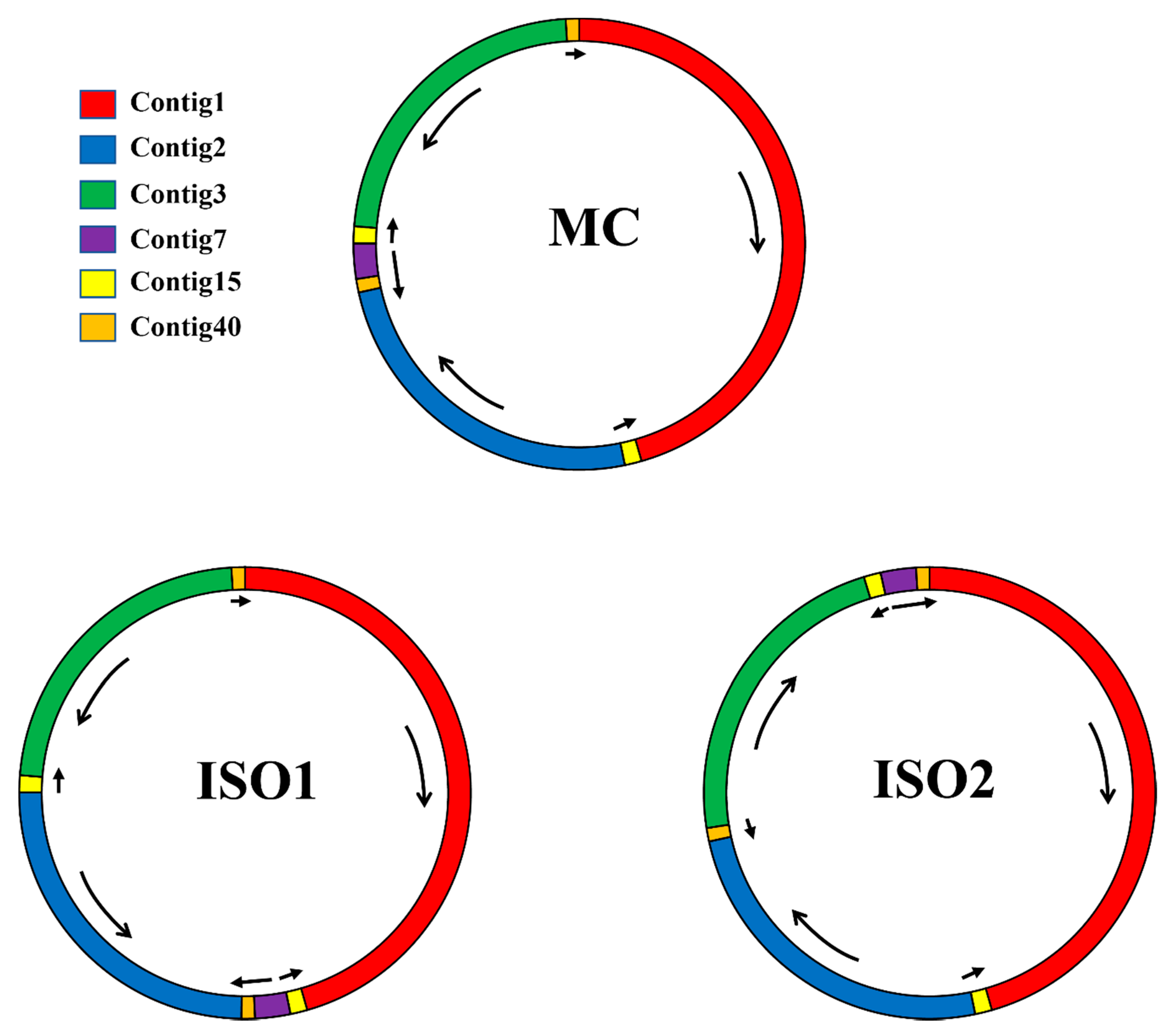 Mitogenome-wise codon usage pattern from comparative analysis of