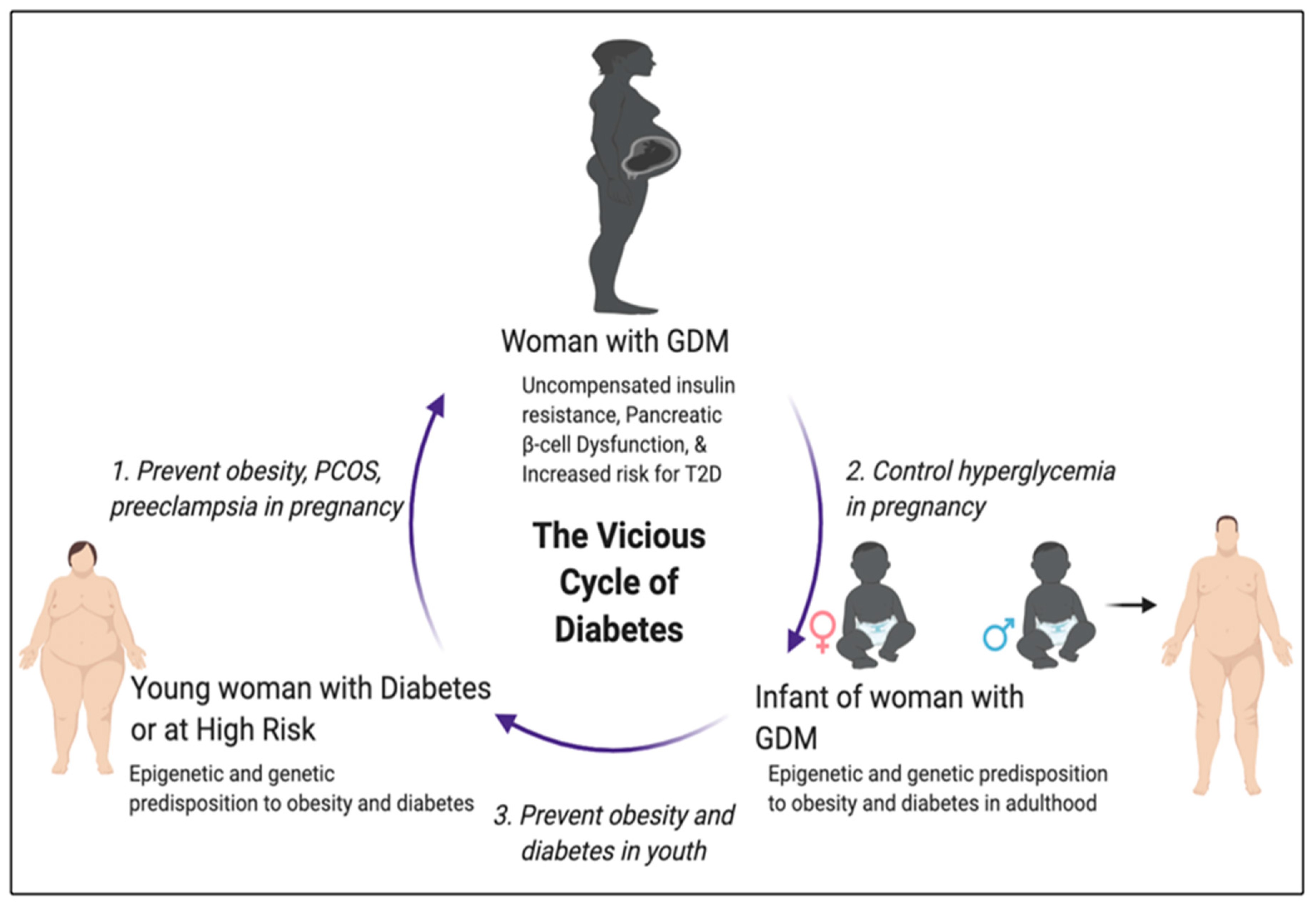 IJMS | Free Full-Text | Gestational Diabetes Mellitus: A Harbinger of the  Vicious Cycle of Diabetes