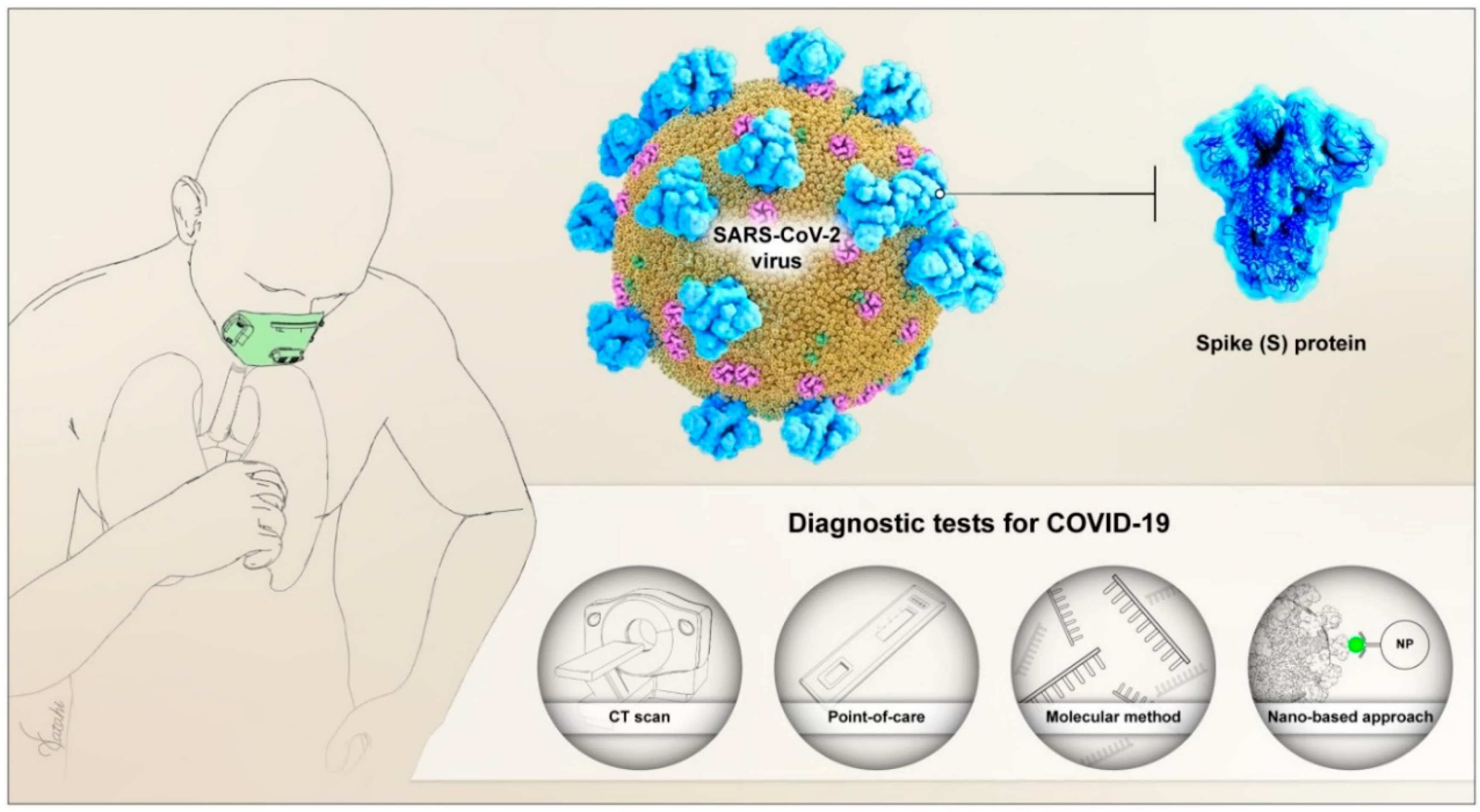How SARS-CoV-2 impacts the body - Mammoth Biosciences