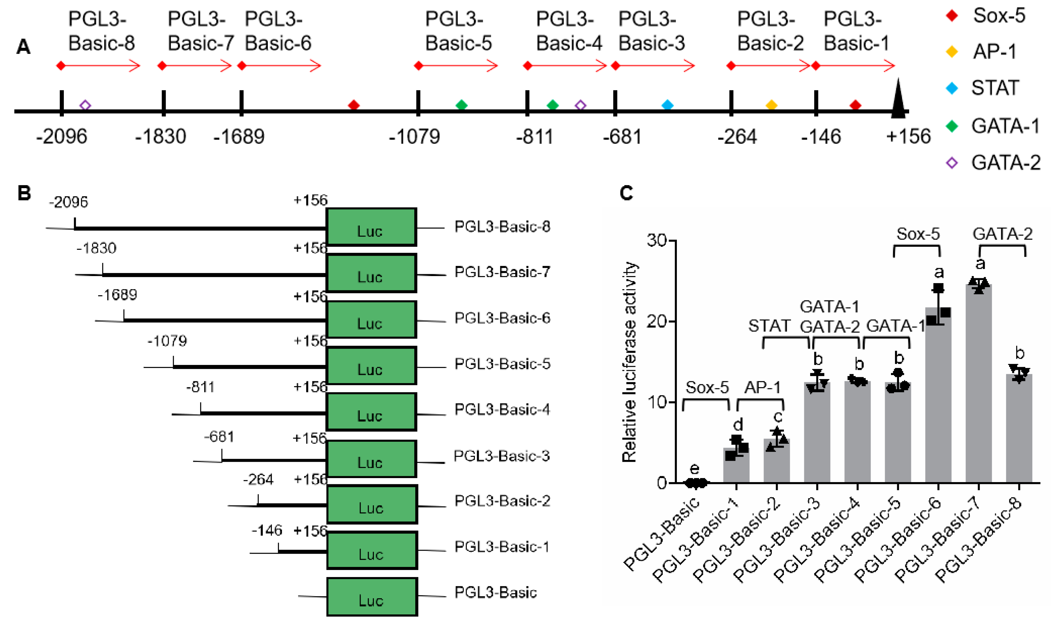 Ijms Free Full Text Transcriptional Inhibition Of Sp Iag By