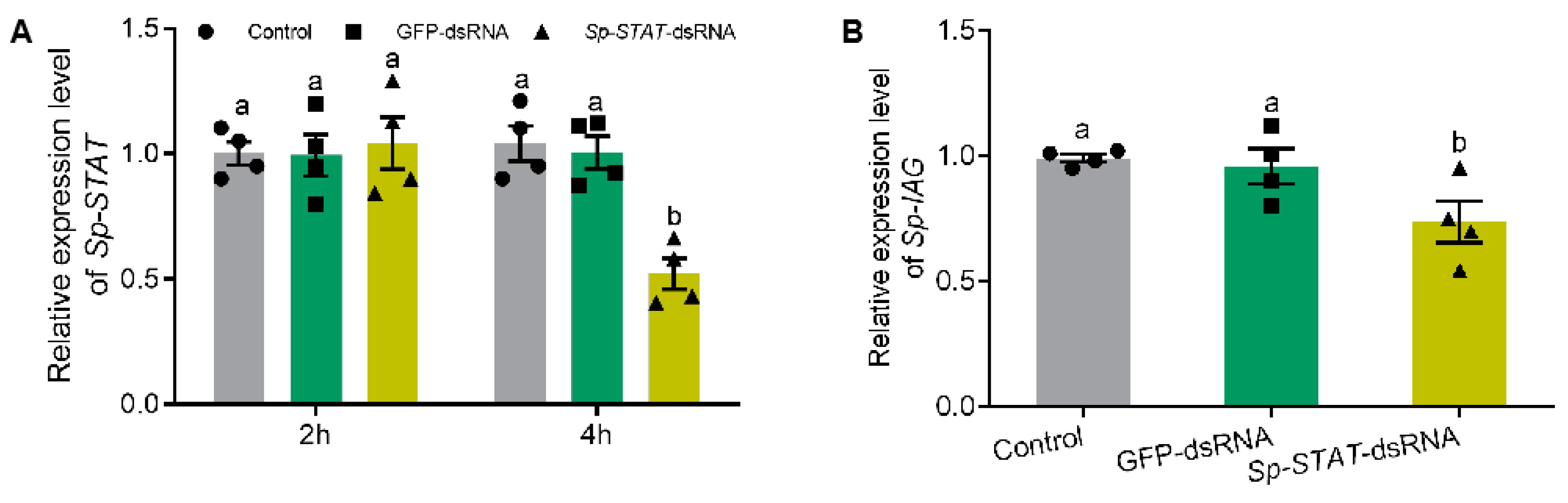 Ijms Free Full Text Transcriptional Inhibition Of Sp Iag By