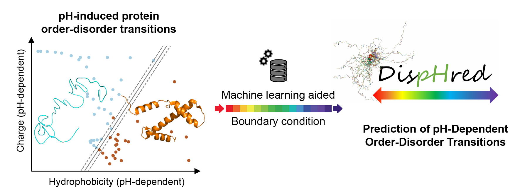 The Order-Disorder Continuum: Linking Predictions of Protein Structure and  Disorder through Molecular Simulation