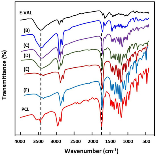 IJMS | Free Full-Text | Preparation And Characterization Of Poly ...