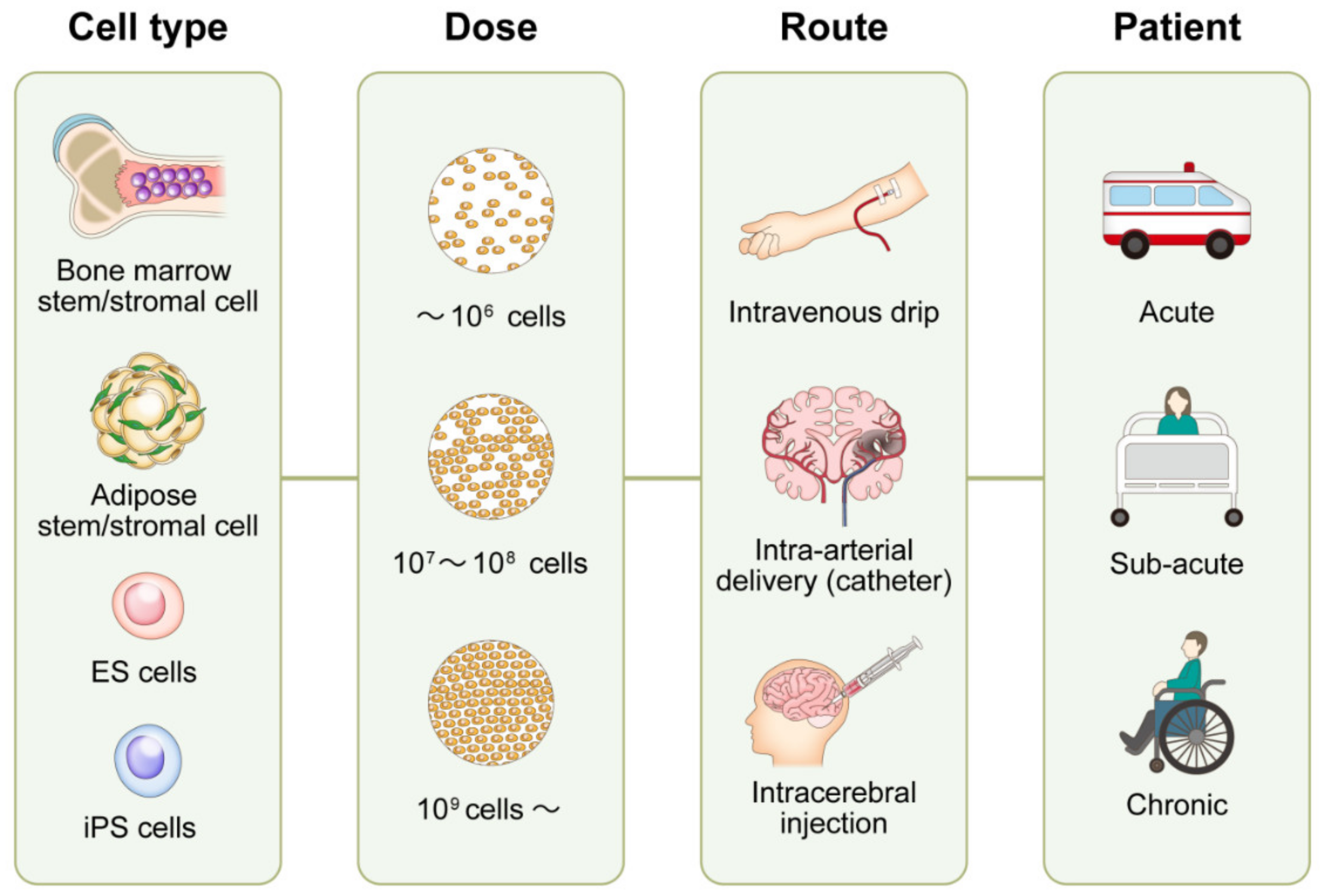stem cell therapy research paper pdf