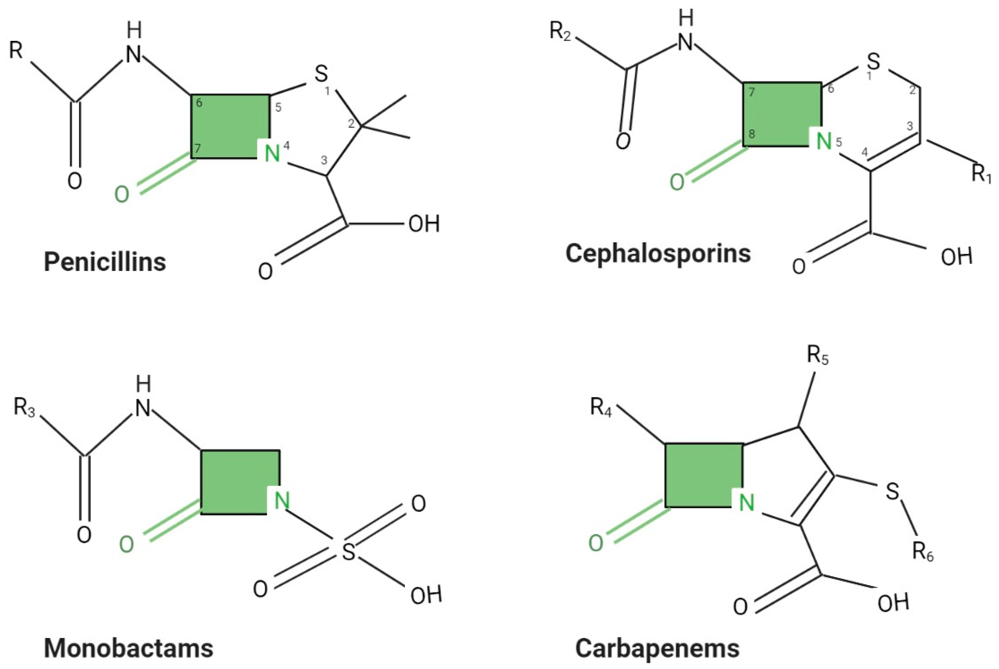 Novel and Recent Synthesis and Applications of β-Lactams | SpringerLink
