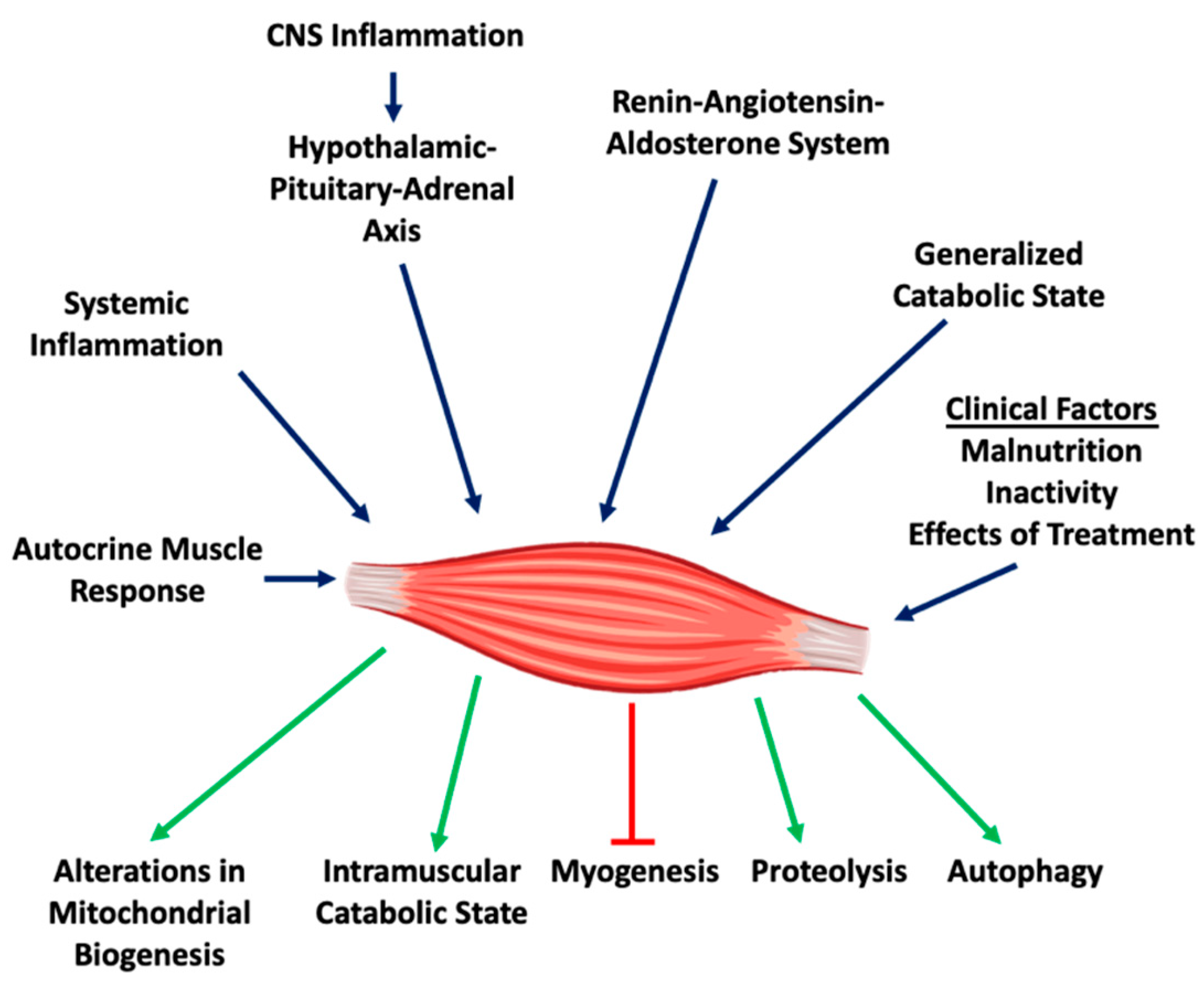 Clinical and Prognostic Relevance of Cardiac Wasting in Patients